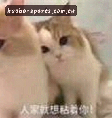周杰